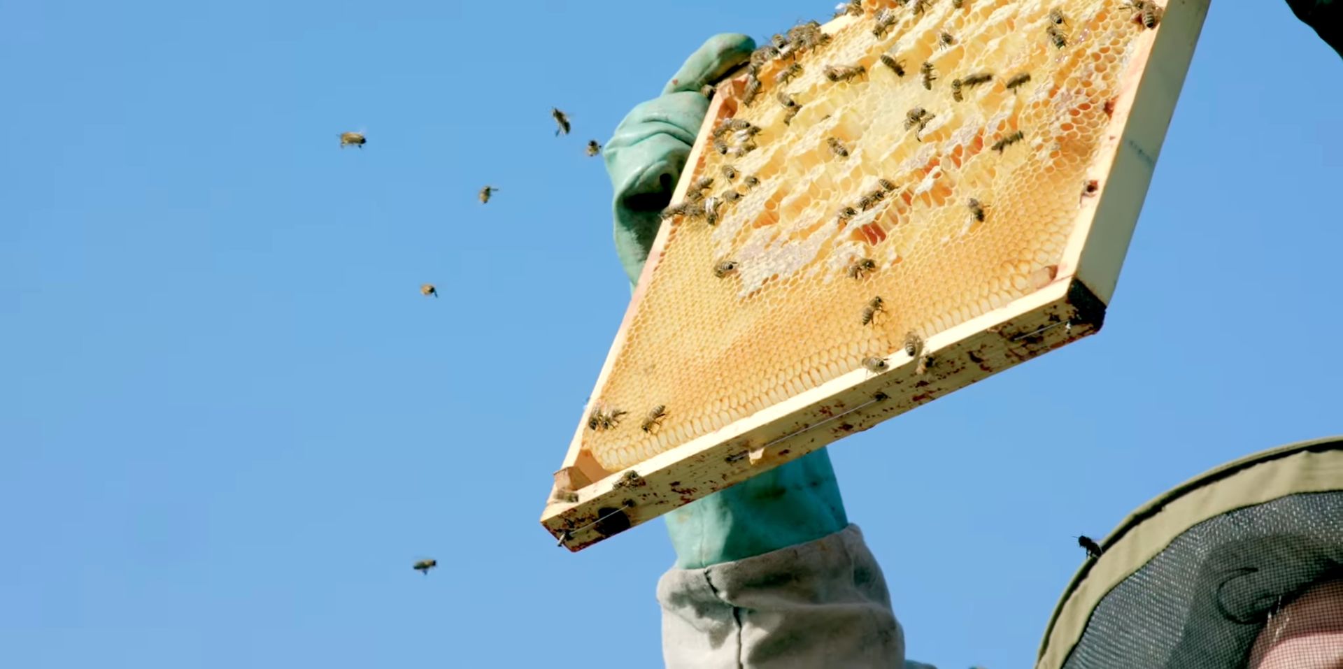 YouTube video preview image